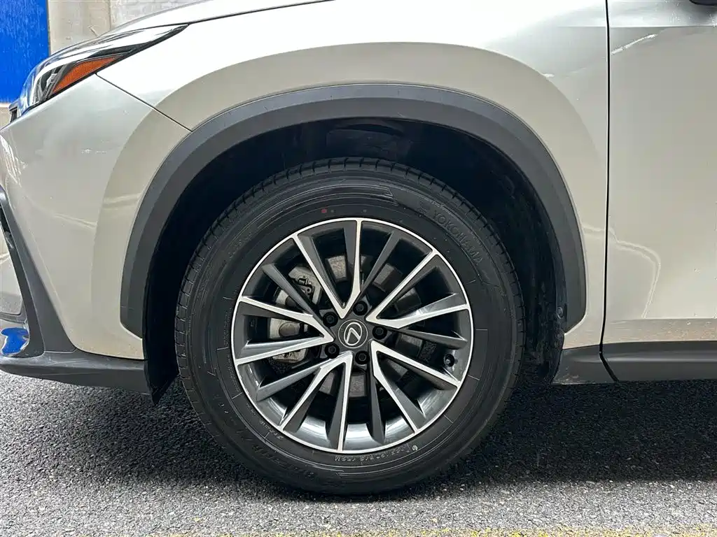 Lexus NX 2024 260