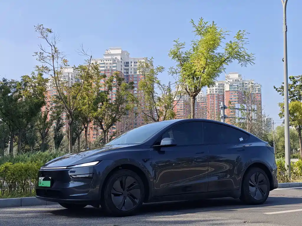 Tesla Model Y — фотографии объявления, Фото 3