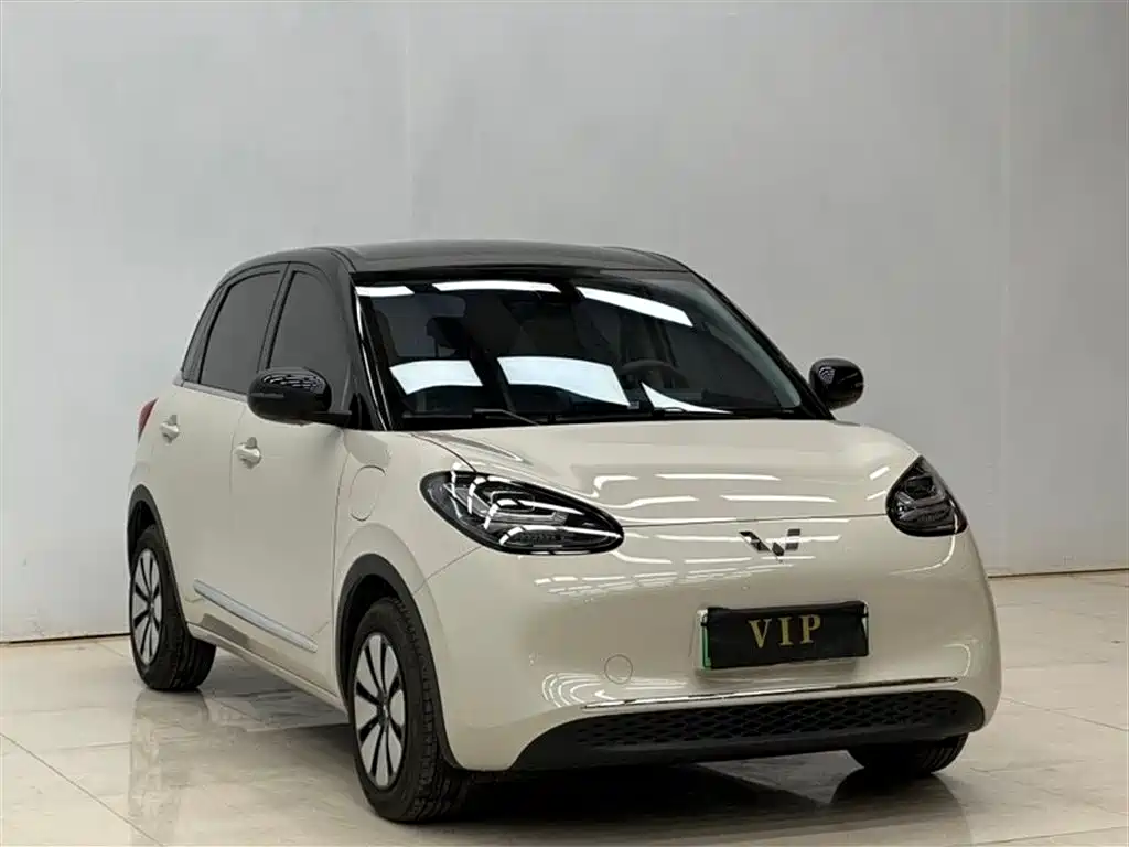 Wuling Bingo 2025