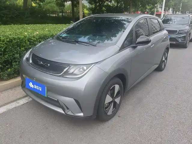 2024 BYD Dolphin