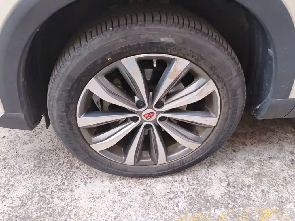 Roewe RX5 MAX — миниатюра 23