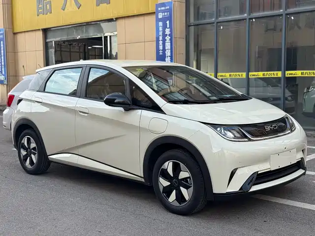 2026 BYD Dolphin