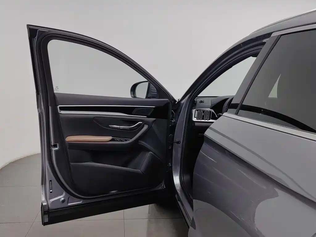 BYD PLUS — миниатюра 8
