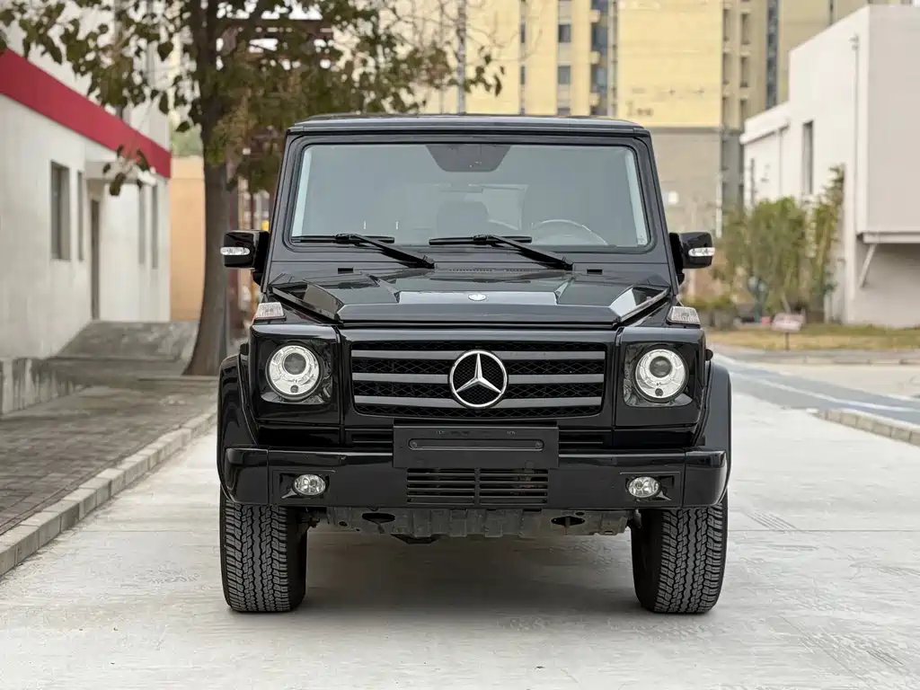 Mercedes-Benz G-Class G 2010 G 500