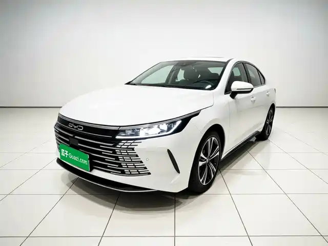 BYD Destroyer 05