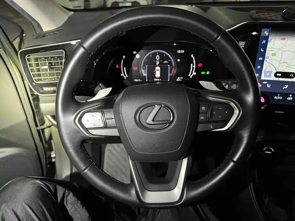 Lexus NX 2022 260