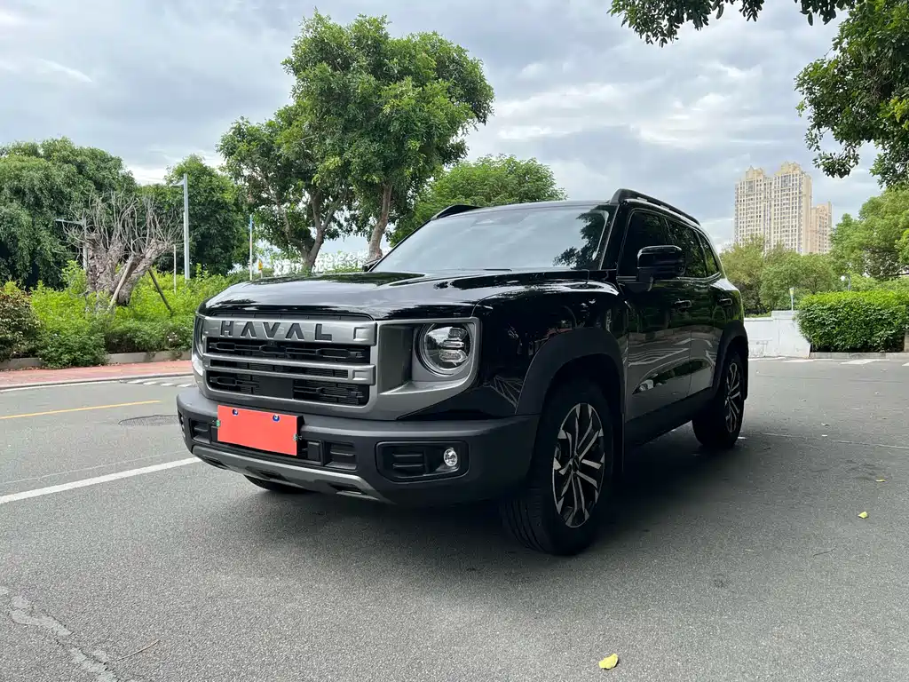 HAVAL BIG DOG
