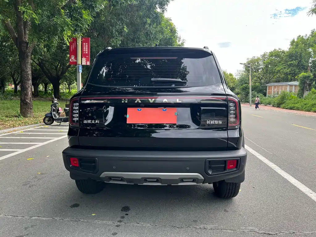HAVAL BIG DOG