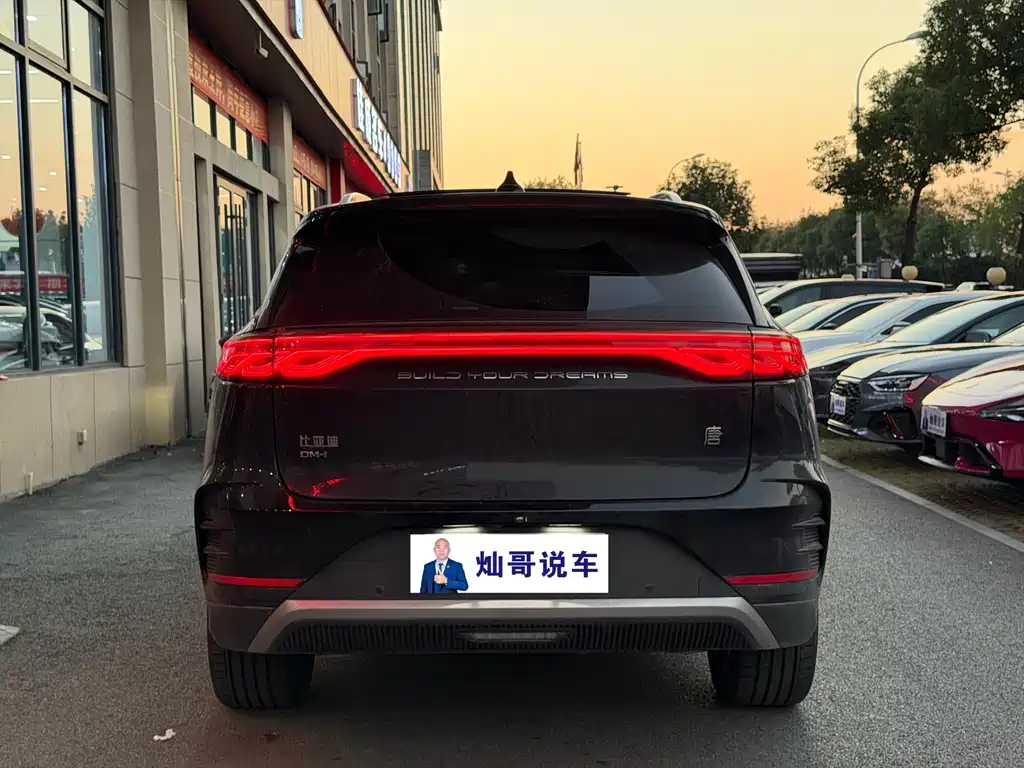 BYD Tang New Energy — миниатюра 7