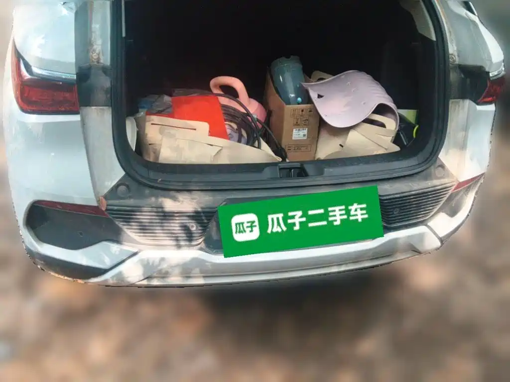 BYD Yuan Plus — миниатюра 15