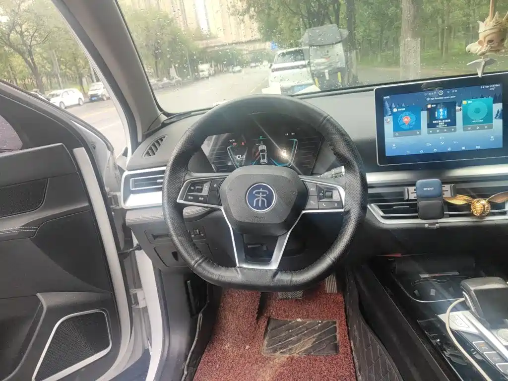BYD Pro — миниатюра 11