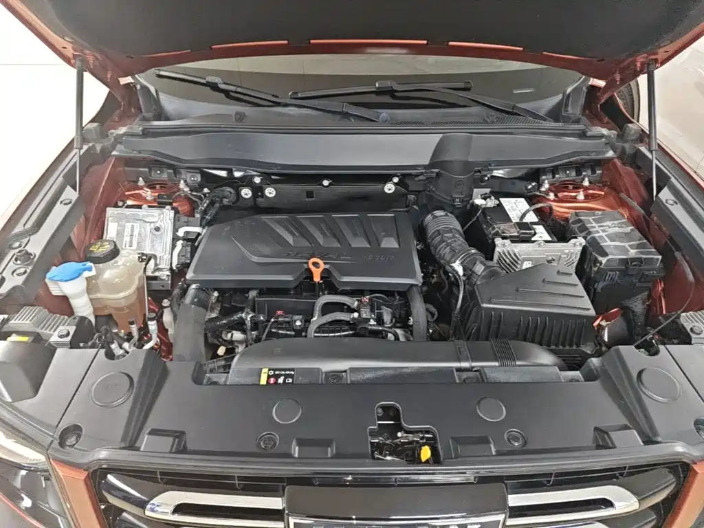 Haval Big Dog — миниатюра 20