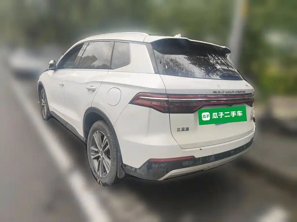 BYD Pro — миниатюра 4