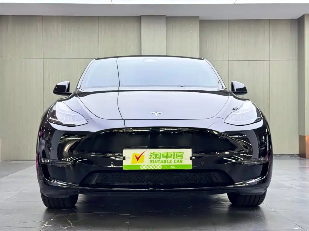 Tesla Model Y — миниатюра 2