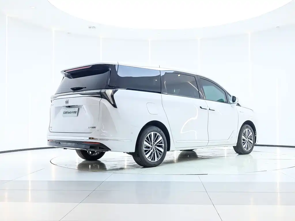 BUICK GL8 NEW ENERGY