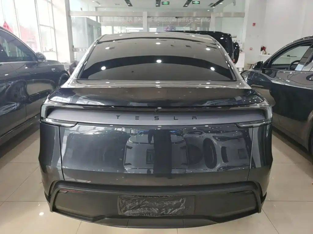 Tesla Model Y — миниатюра 6