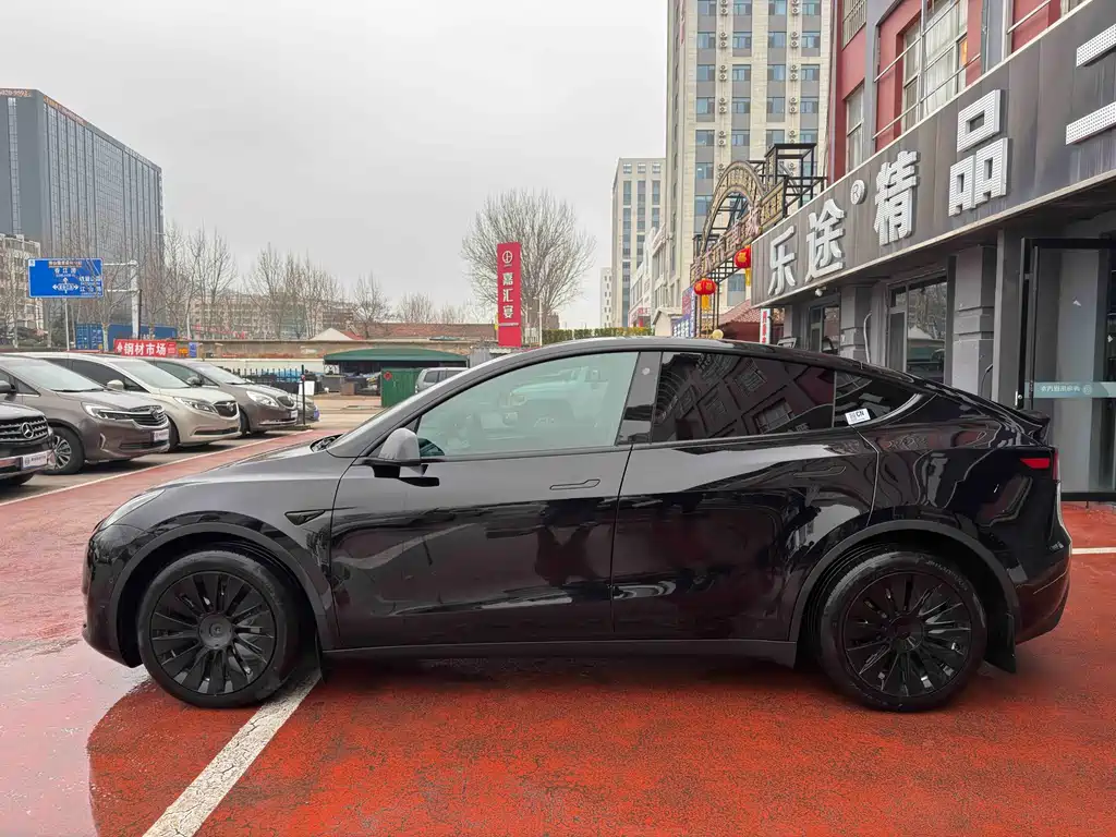 Tesla Model Y — миниатюра 3