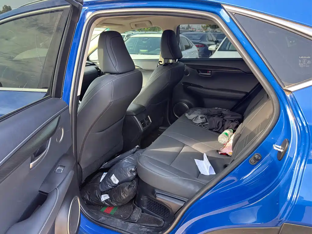 Lexus NX — миниатюра 5
