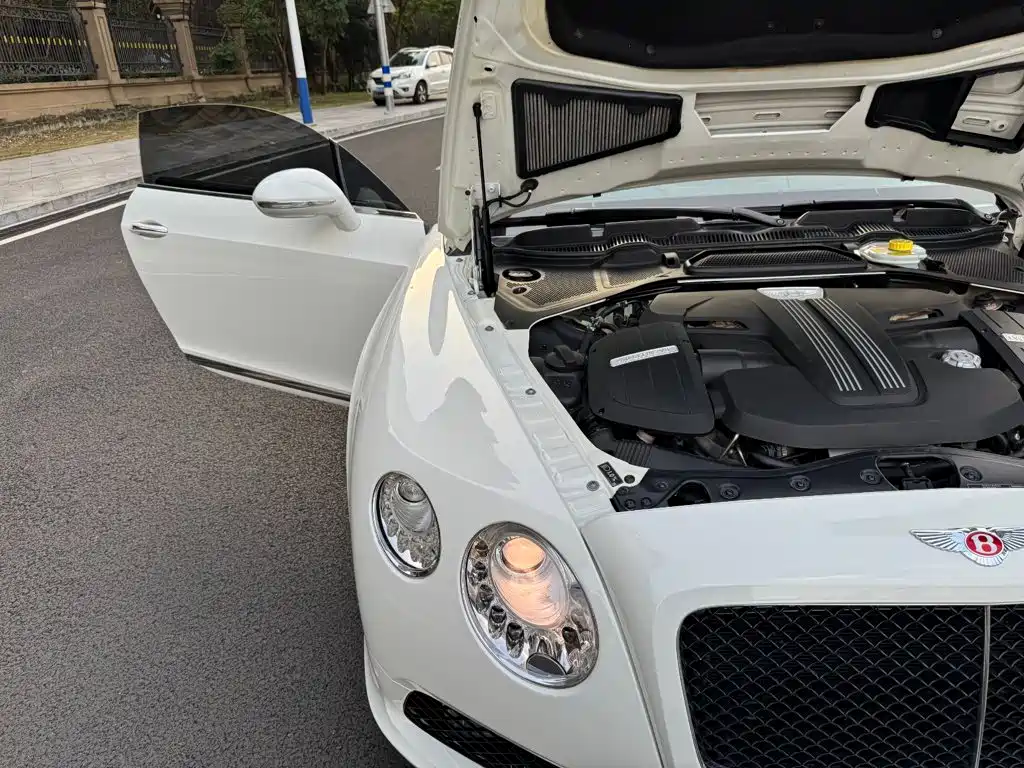 Bentley Continental — миниатюра 18