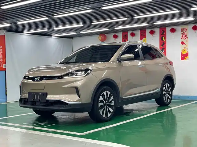 2020 Weltmeister EX5