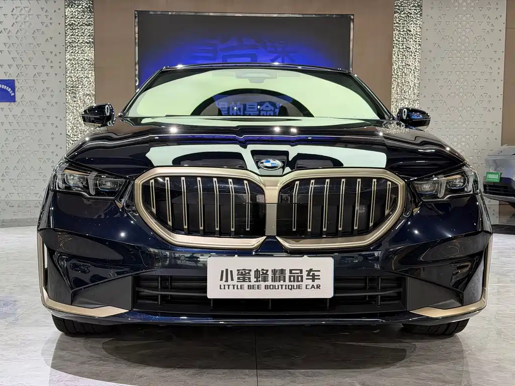 BMW 5 Series — миниатюра 2