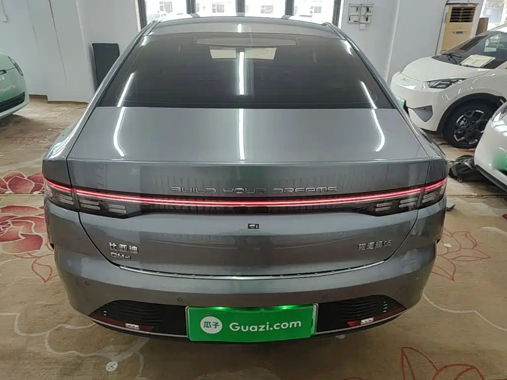 BYD Destroyer 05 — миниатюра 6
