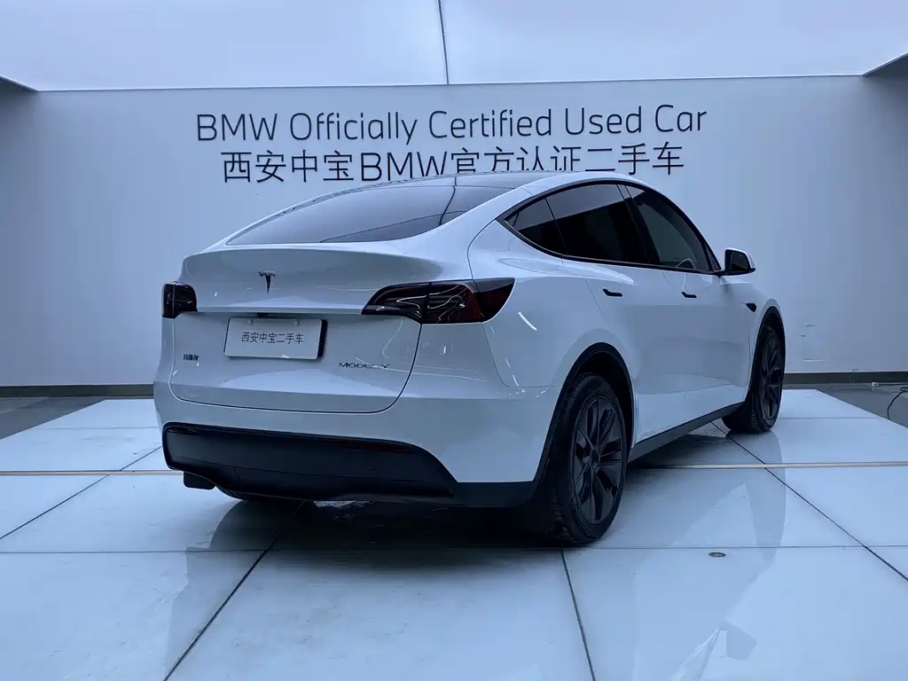 Tesla Model Y — миниатюра 5