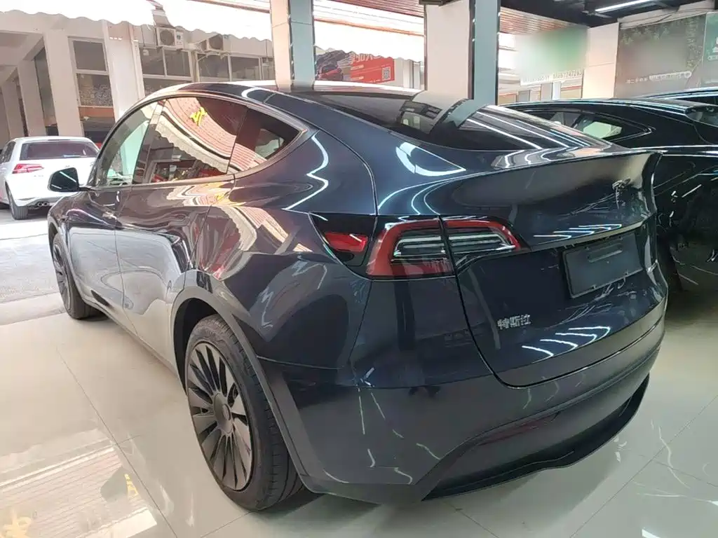 Tesla Model Y — миниатюра 5