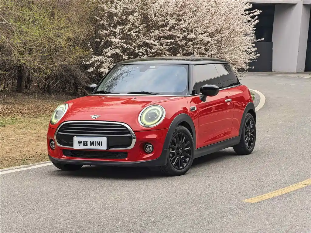 Mini Mini 2020