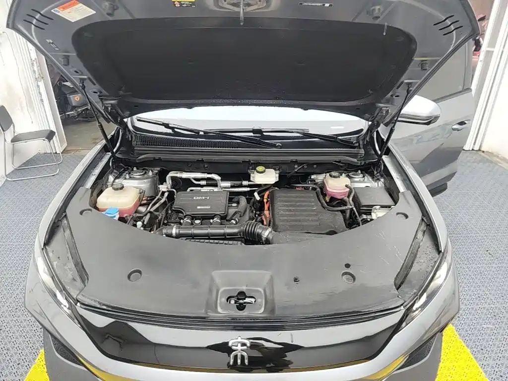 BYD Pro New Energy — миниатюра 20