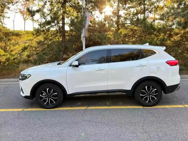 Haval H6 — миниатюра 8