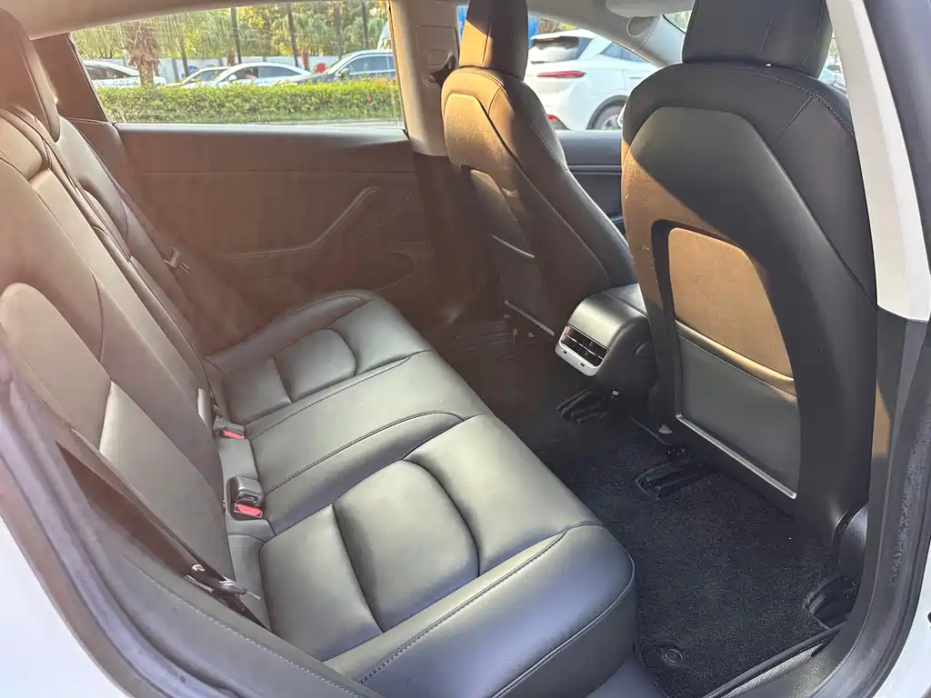 Tesla Model 3 — миниатюра 27