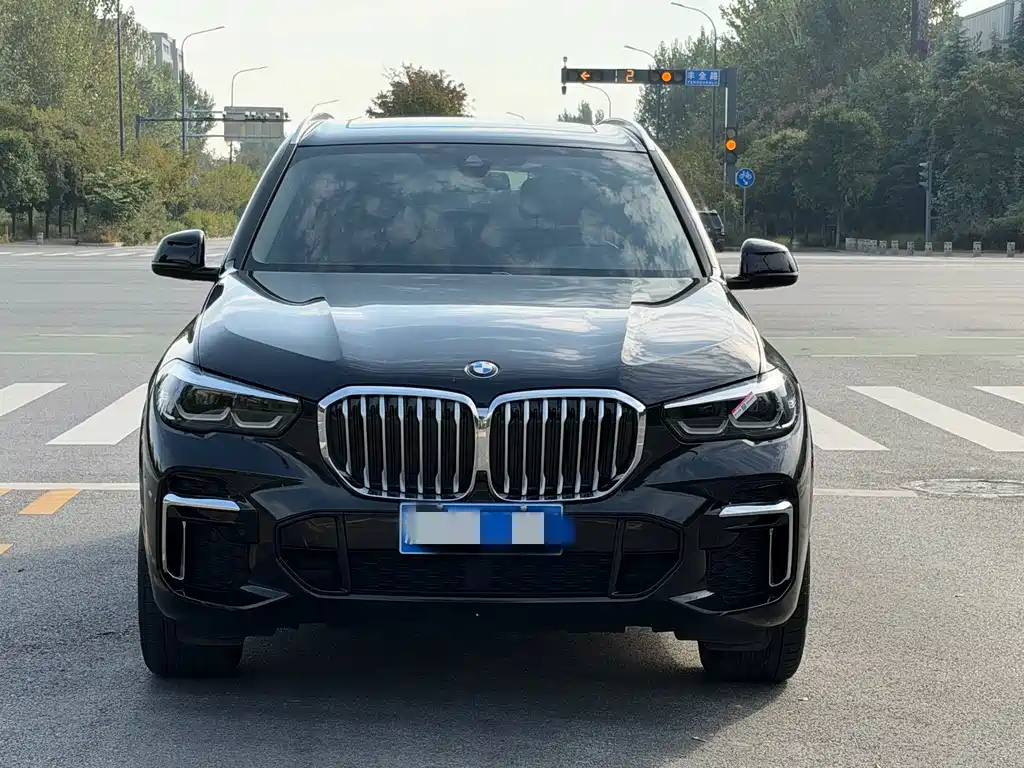 BMW X5 — миниатюра 2