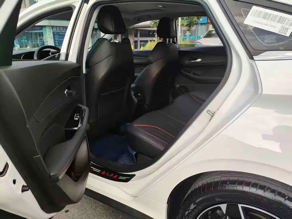 GEELY AUTOMOBILE BINRUI