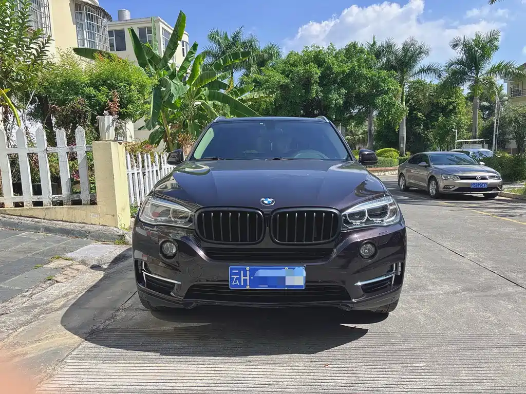 BMW X5 (Import) — миниатюра 2