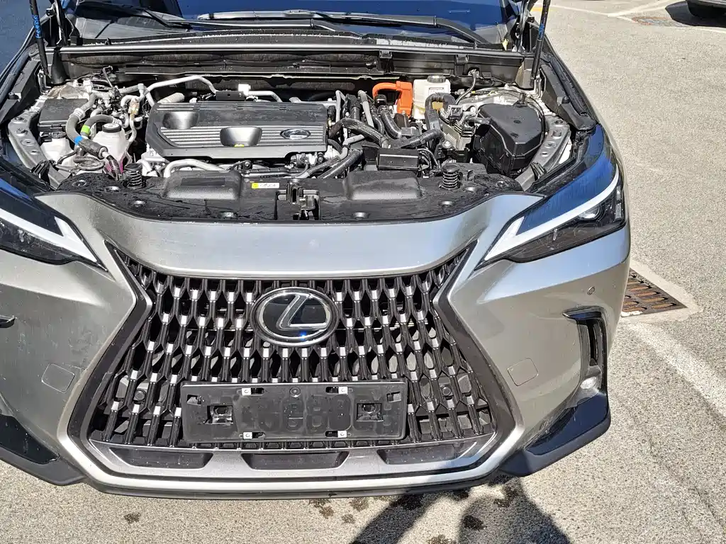 Lexus NX New Energy — миниатюра 17