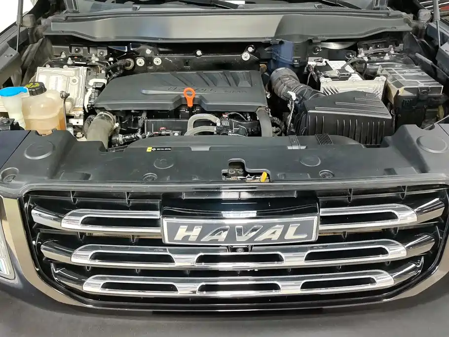 Haval Big Dog — миниатюра 10