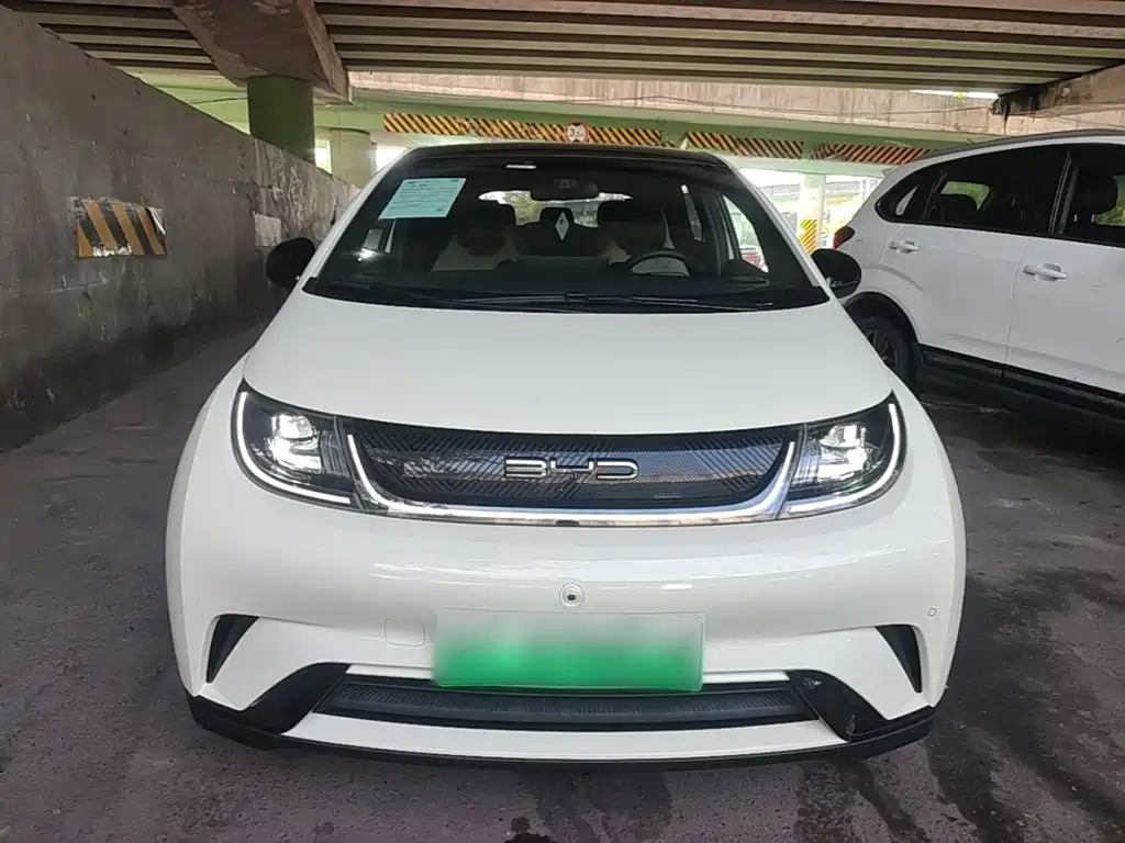 BYD Dolphin — миниатюра 3
