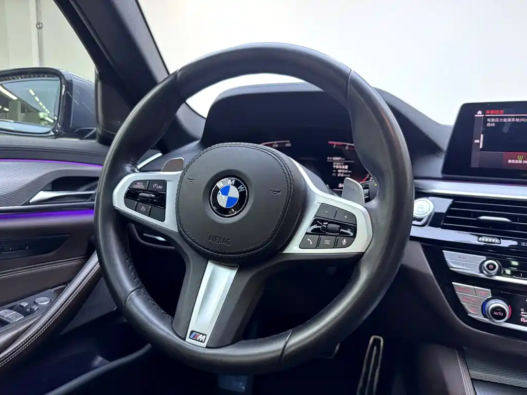 BMW 5 Series (Import) — миниатюра 14