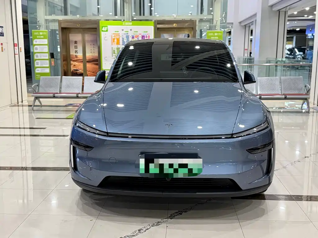Tesla Model Y — миниатюра 2