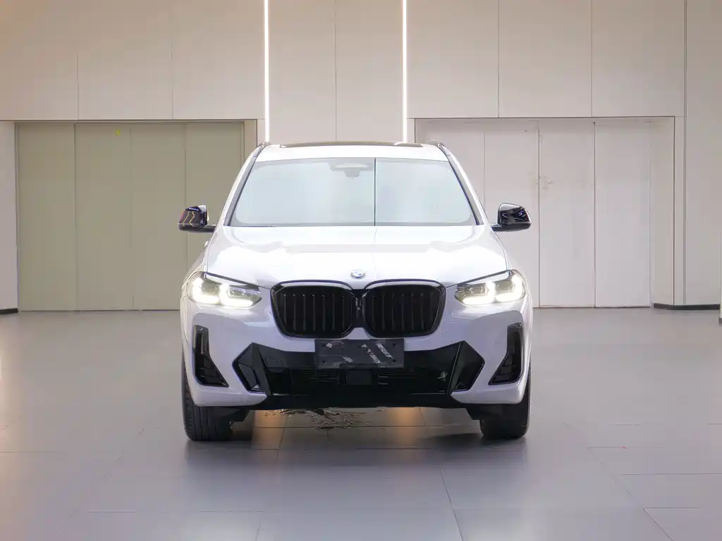 BMW X3 — миниатюра 2