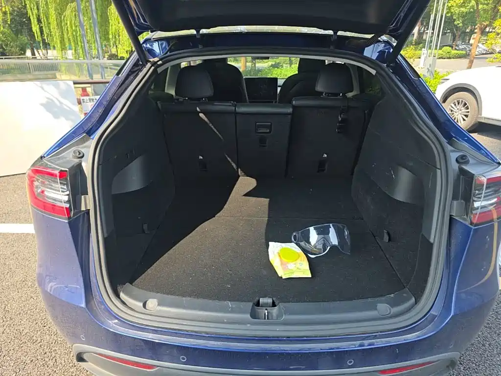 Tesla Model Y — миниатюра 19