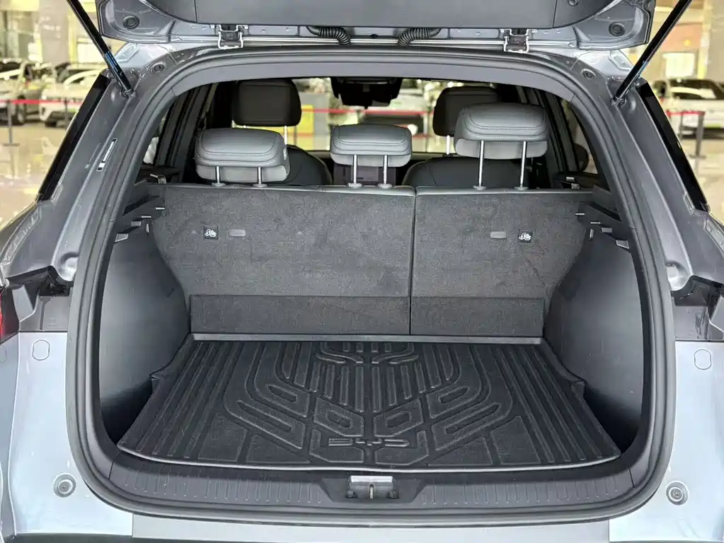 BYD Pro New Energy — миниатюра 14
