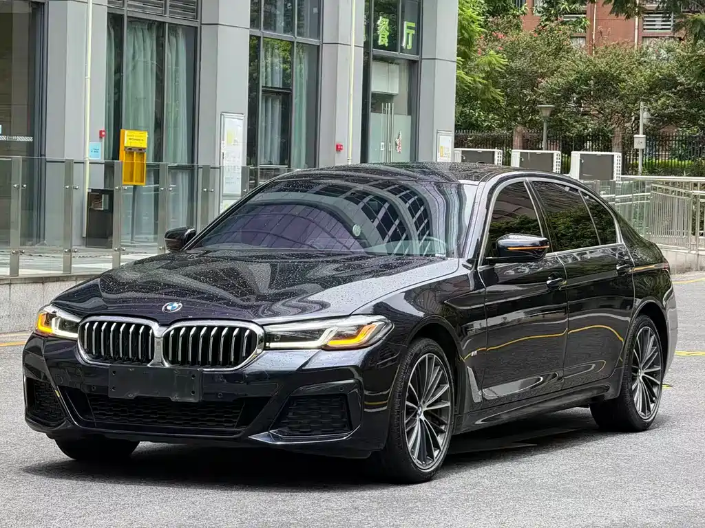 BMW 5 Series — миниатюра 2