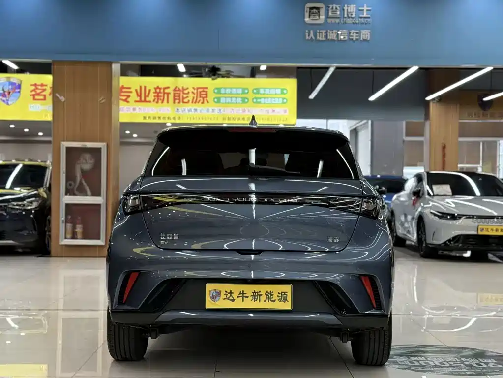 BYD Dolphin — миниатюра 5
