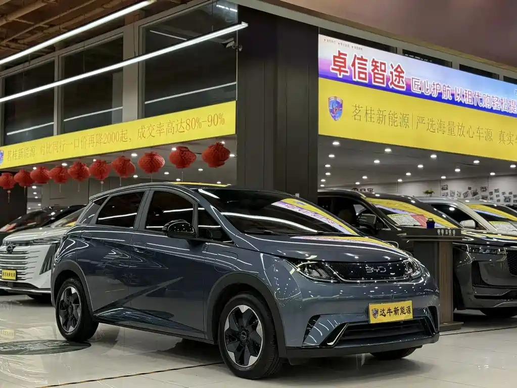 BYD Dolphin — миниатюра 3