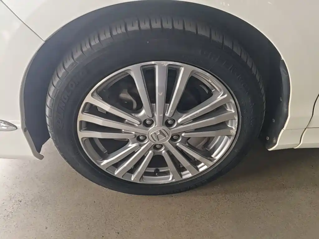 Honda Elysion — миниатюра 23