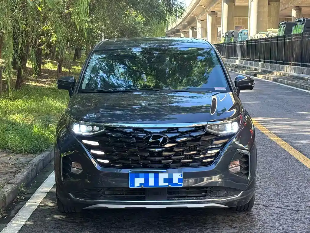 Hyundai Custo — миниатюра 2