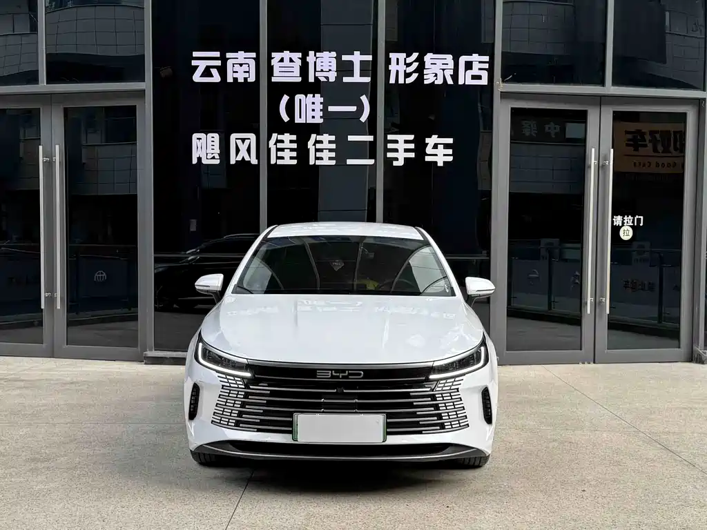 BYD Destroyer 05 — миниатюра 5