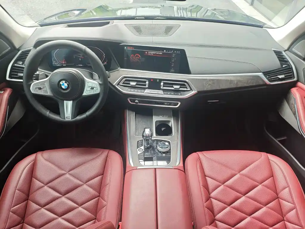 BMW X5 — миниатюра 8